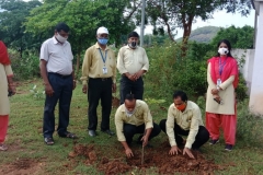 Plantation Drive